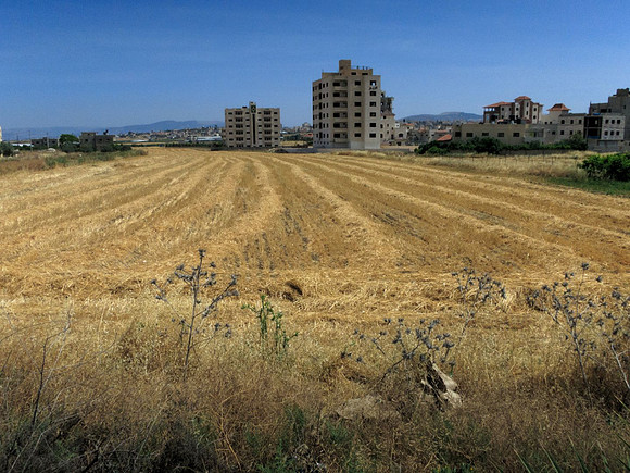 jenin 023