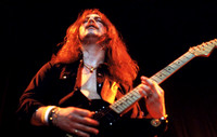 Robb