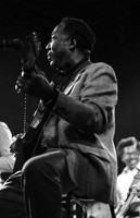 Muddy Waters - Newcastle upon Tyne - City Hall - 1978