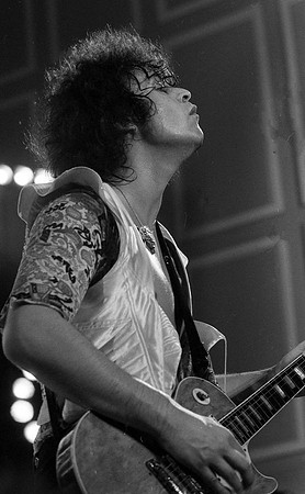 trex034