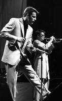 Madness - Newcastle upon Tyne - City Hall - 1980