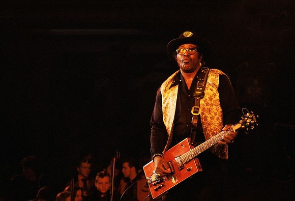 Bi Diddley