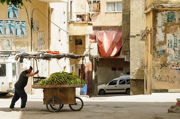 jenin 010