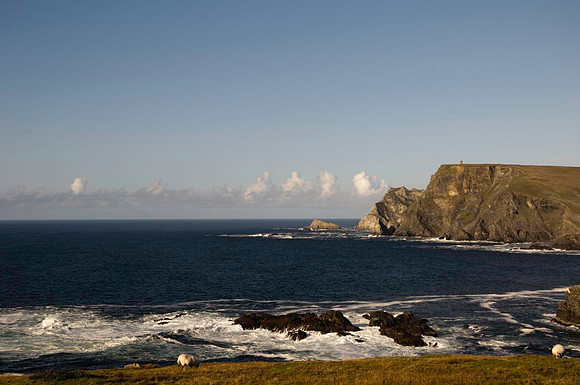 Glen Head 02